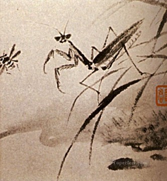 Shitao Shi Tao Painting - Shitao estudios de insectos manto 1707 tinta china antigua